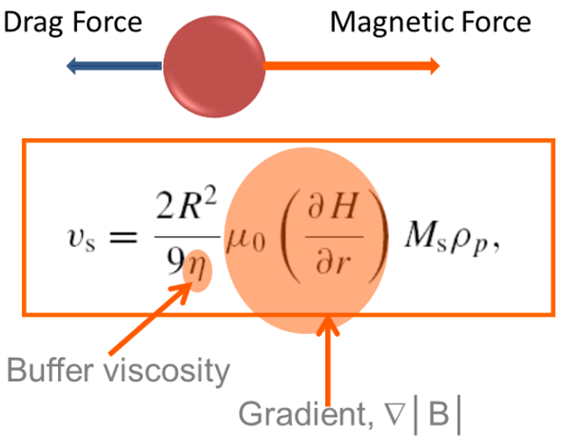 Magnetic beads in biotechnology: Principles and applications
