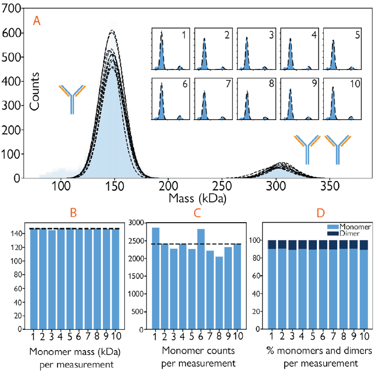 Automated mass photometry measurements are highly consistent