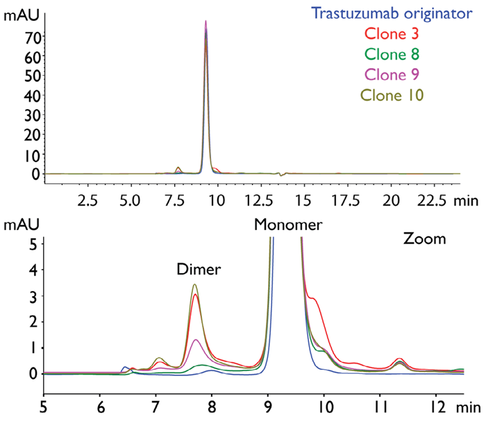 SEC-UV chromatograms of trastuzumab originator (Herceptin®) and trastuzumab-producing CHO clones (UV 280 nm).