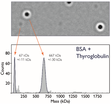 Single molecule detection with mass photometry