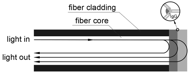 Modern biophotonic sensors can be built to fit the literal head of a pen and detect extremely low concentrations of antibodies