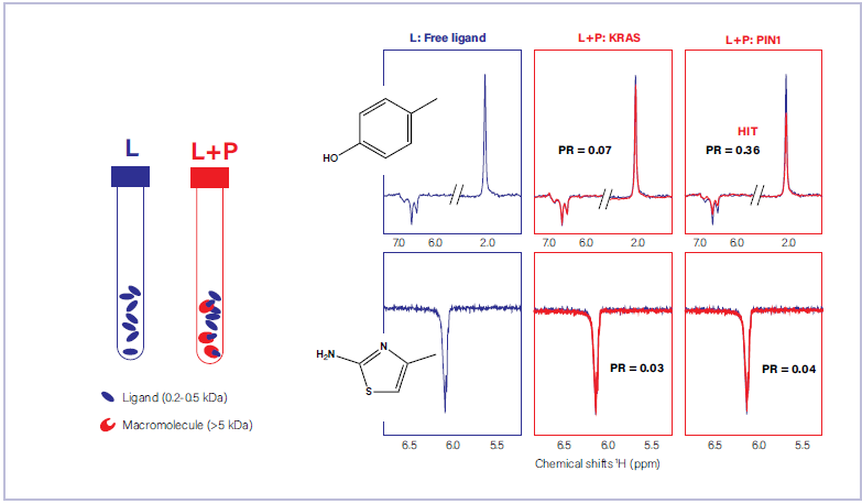Fragment screening of two fragment molecules against KRAS and PIN1, two oncoproteins. The polarization ratios (PR) are shown to reflect quantitative analysis. 