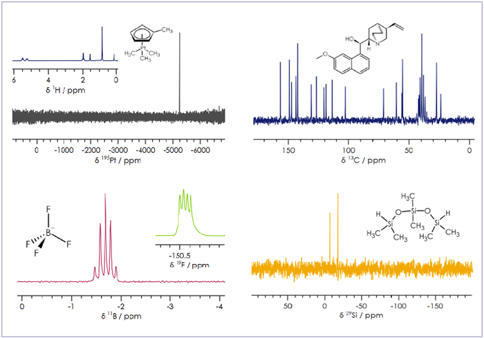 A sample of the various X-nuclei that it’s possible to detect on X-Pulse. 