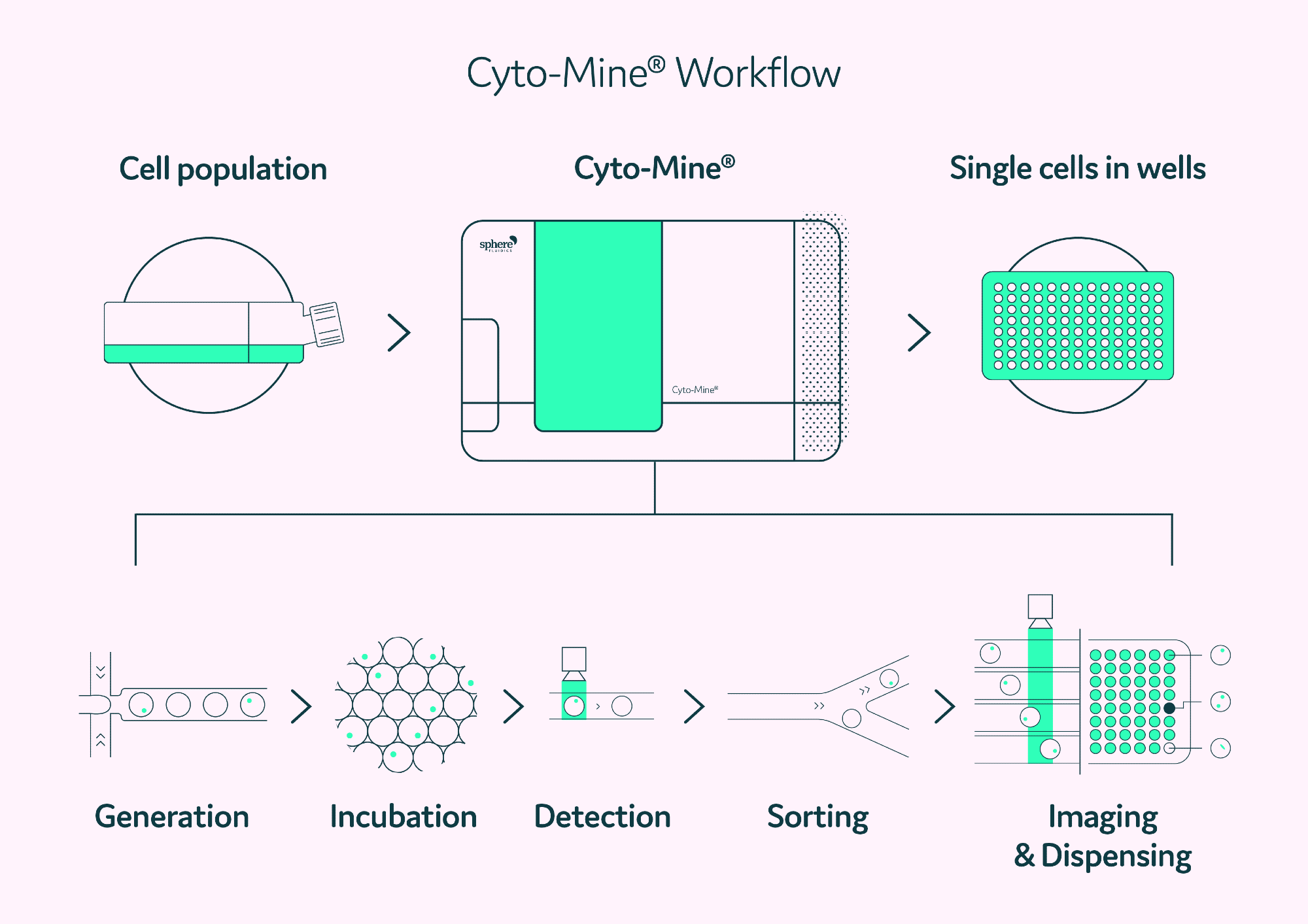 cyto-mine workflow