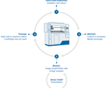3D intestinal organoid culture automation using an Automated Cell Culture System