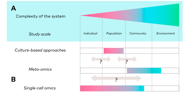 Gradient of ecological scales and associated approaches.
