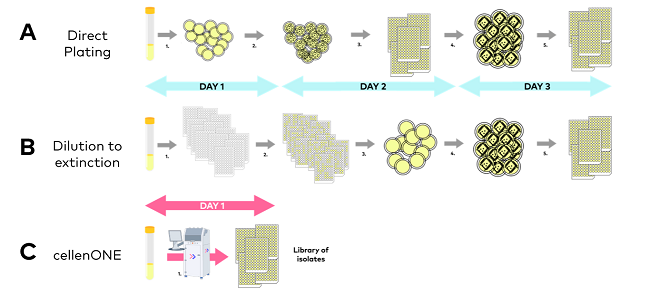 Classical approaches to culture library generation, i.e., Direct plating (A), and Dilution to extinction (B) vs. single microbial cell inoculation of cultures by cellenONE (C).