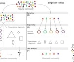 The emerging role of single cell omics in microbial community analysis