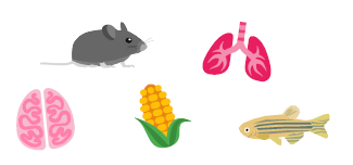 Quantification and quality assurance of isolated nuclei