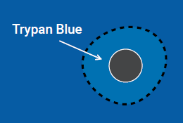 Selecting the right viability assay