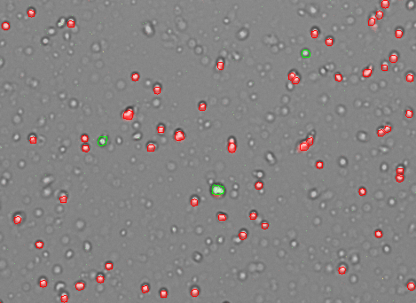 Celldrop counting nuclei