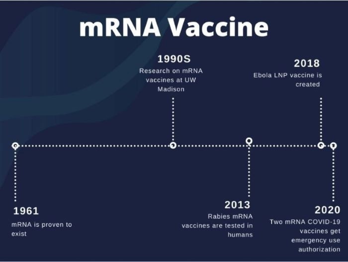 Timeline of mRNA vaccine development