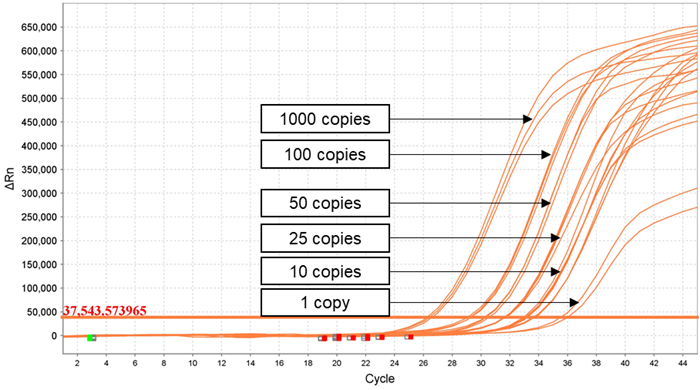 Dilution series of Quantitative Genomic RNA from Zika virus strain PRVABC59 (VR‐1843DQ), ATCC from 1000 genome copies/ μl to 1 genome copy/ μl analyzed using Applied Biosystems QuantStudio 5