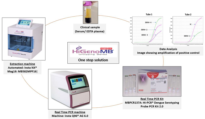 Image representing probe workflow of the process and One Stop Solution offered by HiGenoMB