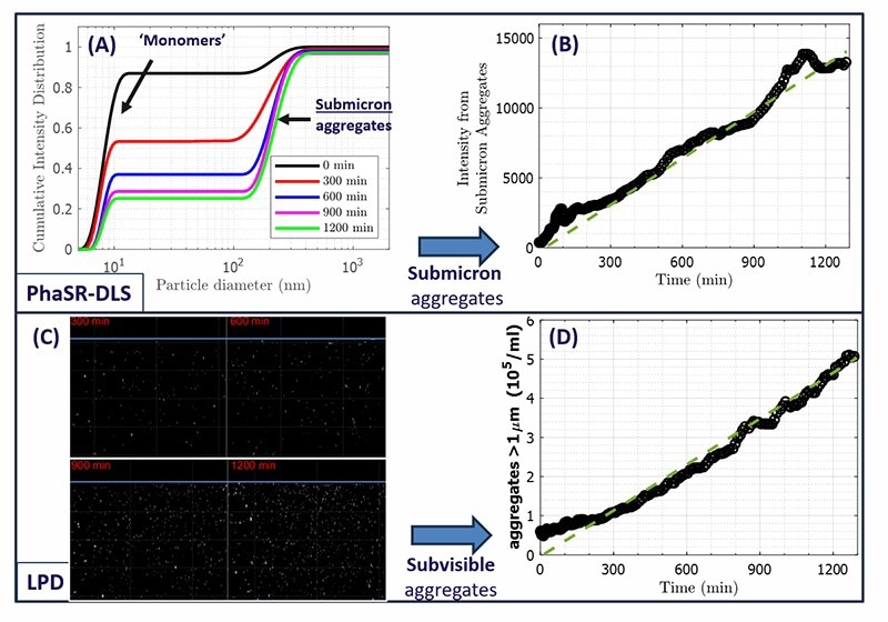 Figure 2. A) Particle Size distributions from PhaSR-DLS, at the timepoints in Fig.1B). Prolonged circulation causes an increasing intensity fraction of submicron aggregates. B) Resulting scattered intensity from submicron aggregates increases approximately linearly with circulation time.  C) Snapshots of LPD image series after different circulation times (for clarity, an intensity threshold was chosen to show particles >800nm in size). D) Concentration of ‘subvisible’ aggregates (size exceeding ∼1μm) from LPD histograms, as function of processing time. After the first ∼100min where pre-existing aggregates dominate, the aggregate concentration grows approximately linearly. Image Credit: InProcess-LSP