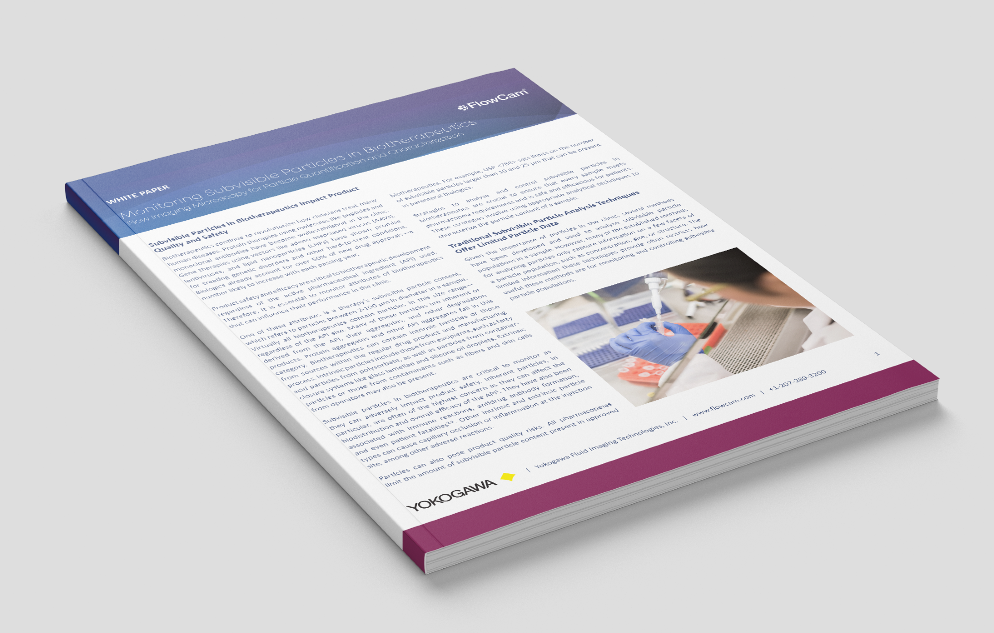 A deeper understanding of subvisible particles