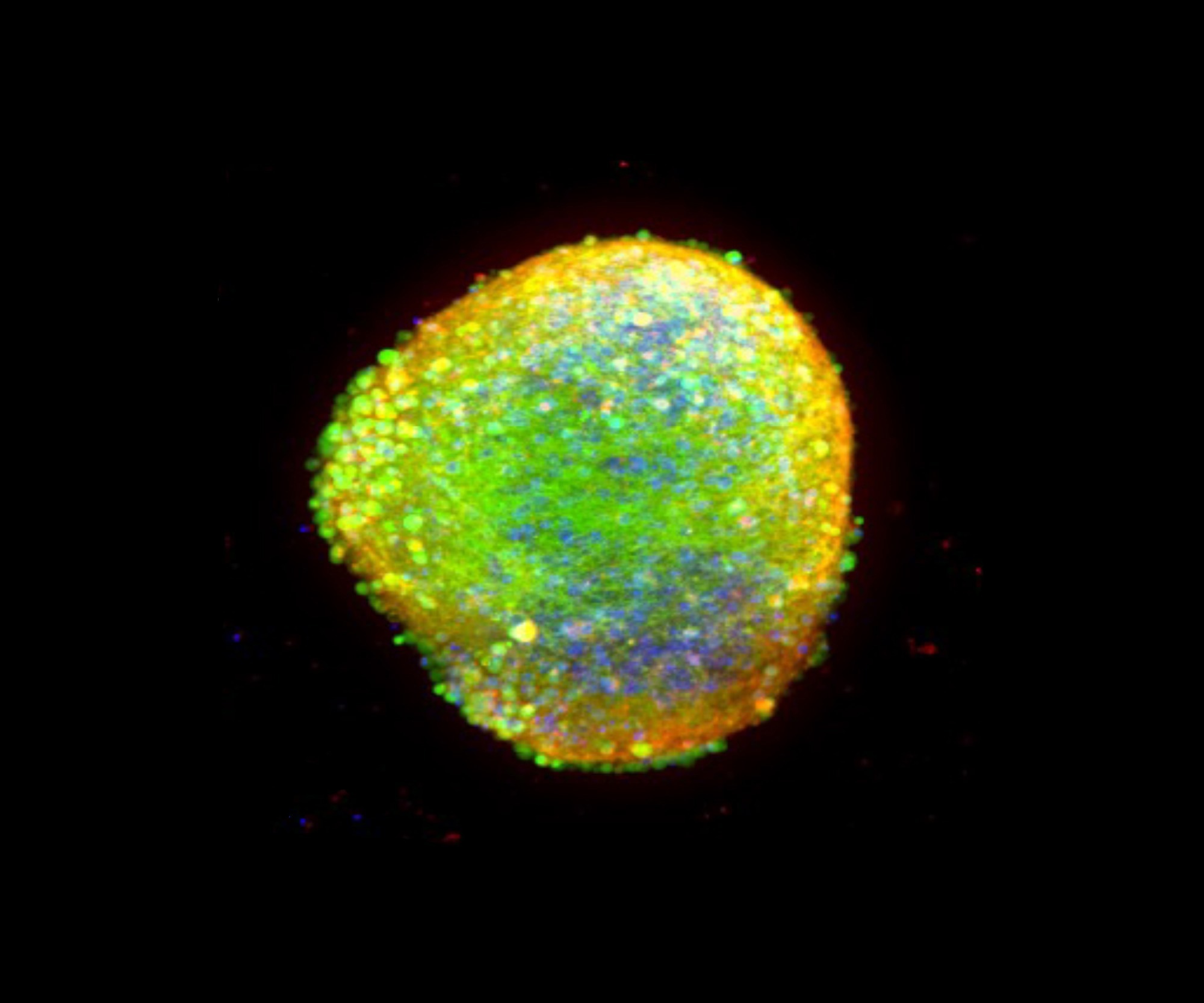 Image Credit: Molecular Devices