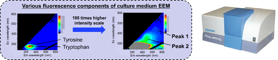 Fluorescence spectroscopy for comprehensive analysis of mammalian cell growth