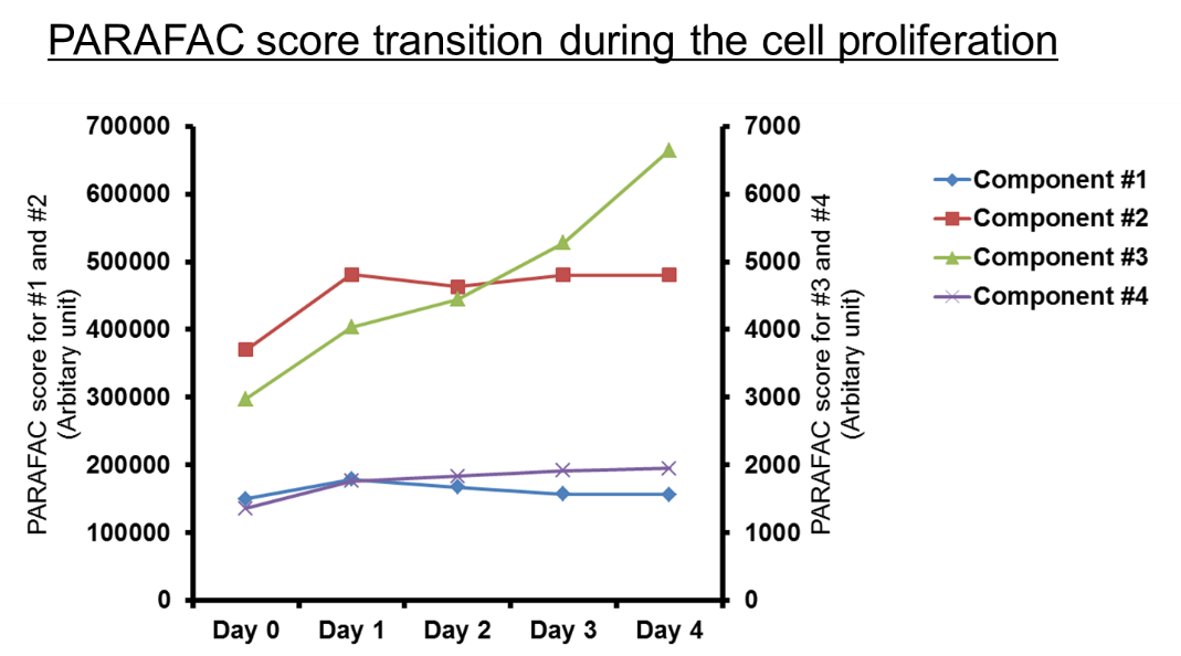 PARAFAC score of component #3, like NAD(P)H-like, increased continuously during the cell proliferation. The result shows that the component #3 is a key fluorescence indicator of the culture medium condition and cell proliferation. NAD(P)H is known to correspond to changes in cell environment