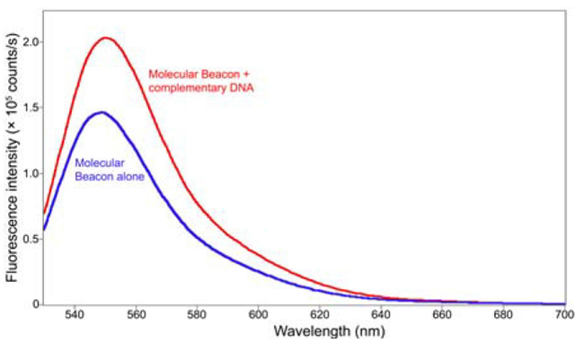 Comparison of emission spectra between (blue) ssDNA only; (red) ssDNA hybridized with cDNA. The peak’s relative height increases as fluorophor separates from the quencher