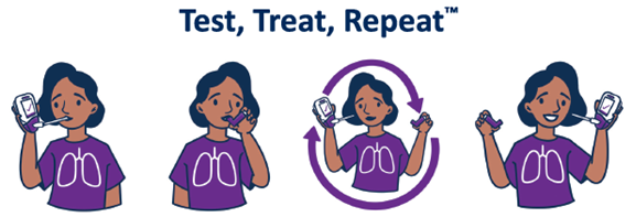 An overview of FeNO guidelines in clinical practice