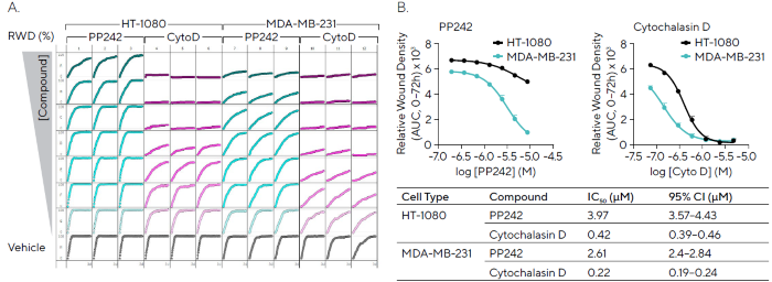 Pharmacological Assessment of Inhibitory Compounds in Cancer Cell Lines. HT-1080 and MDA-MB-231 cells (30,000 cells/well) were wounded and treated with PP242 (mTOR inhibitor) and cytochalasin D (actin polymerization inhibitor). (A) 96-well microplate graph showing relative wound density (RWD) over 72 hours enables visualization of cell migration in the presence of inhibitors. (B) Concentration response curves indicate the efficacy of each compound (AUC, 0--72 h) in both cell types with IC50 values and confidence interval (CI) shown (Table). Data shown as mean ± SEM, n = 3 replicates