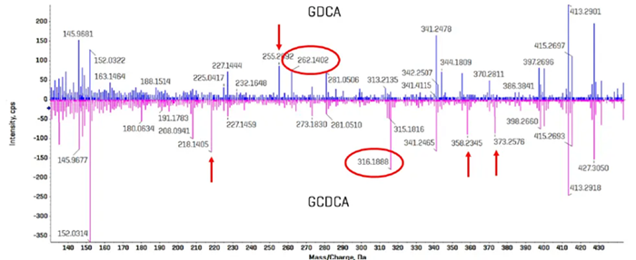 Comparison of EAD-based fragmentation of GDCA and GCDCA. A portion of the product ion spectra for GCDCA and GDCA is highlighted, with the spectrum for GDCA overlaid and inverted. Multiple fragments were identified for each bile acid isomer that appear to be unique and could serve as a selective fragment ion during analysis (red arrows). The fragment ions with m/z 262.1403 and 316.1888 were chosen for GDCA and GCDCA, respectively, due to their relatively high abundances