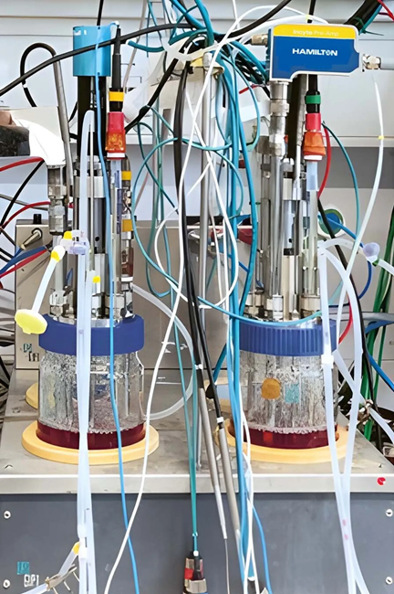 Bioreactor set up with Hamilton’s Incyte sensor