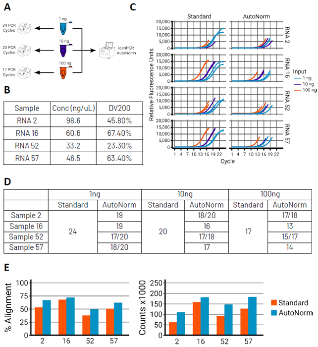 AutoNorm preserves data integrity by preventing overamplification. A) Standard PCR workflows require dividing samples of different input amounts across multiple thermocyclers, each programmed with a different number of PCR cycles. In contrast, iconPCR with AutoNorm)enables all libraries—regardless of input amount—to be amplified on a single instrument. B) Table summarizing the FFPE samples used in this study, including initial RNA concentrations and DV200 values as a measure of RNA integrity. C) Real-time PCR amplification curves using standard PCR cycling (left) versus iconPCR with AutoNorm (right). Standard cycling results in variable endpoint fluorescence due to differences in input and sample quality. With AutoNorm, each sample terminates at the same amplification threshold, independent of input or degradation level. D) Number of PCR cycles required for each sample. E) AutoNorm improves data quality. Libraries from 1 ng input were sequenced and subsampled to 1M reads. Graphs show the percentage of reads aligning to the reference genome and the number of deduplicated gene counts, averaged across two technical replicates