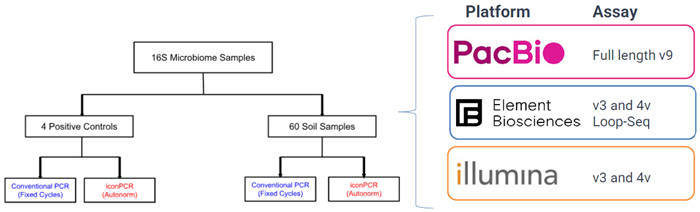 Data is Excerpt from Full Publication Results from Below Publication: The use of iconPCR for 16S library preparation improves data quality and workflow