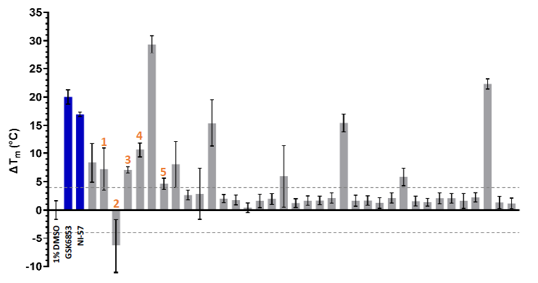 DSF characterization of the of 36 waveRAPID® primary hits (grey). GSK6853 and NI-57 are coloured in blue, and the > +4 °C and < -4 °C thresholds are indicated with grey dashed lines.
