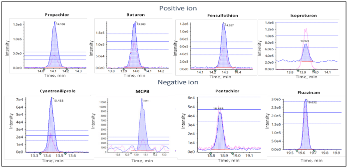 Overlaid XICs of 8 different compounds (4 in positive ion mode and 4 in negative ion mode) at the lowest concentration analyzed (1 ng/mL) using the fast MRM acquisition conditions. The 3 XICs above show overlaid quantifier and qualifier transitions and ion ratio lines with a tolerance of 70 %–130 %