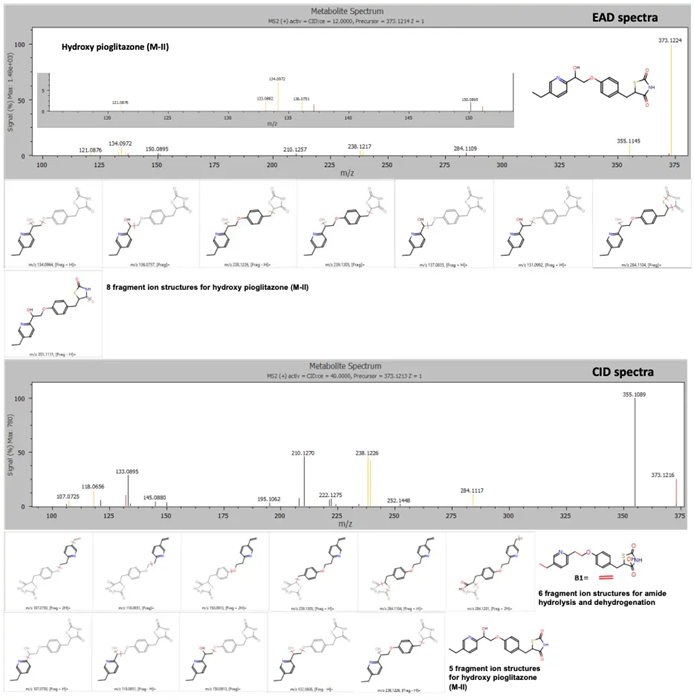 EAD and CID spectra for the hydroxy pioglitazone metabolite at retention time 4.13 minutes with fragment ion matches for structures predicted by Mass-MetaSite software. Product ion matches with pioglitazone are displayed in red and metabolite-specific matches are indicated in yellow