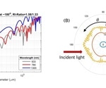 Different DLS-based systems can give us different size results, and all of them can be correct!