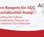 Unveiling ADC cellular internalization with pH-sensitive dye detection
