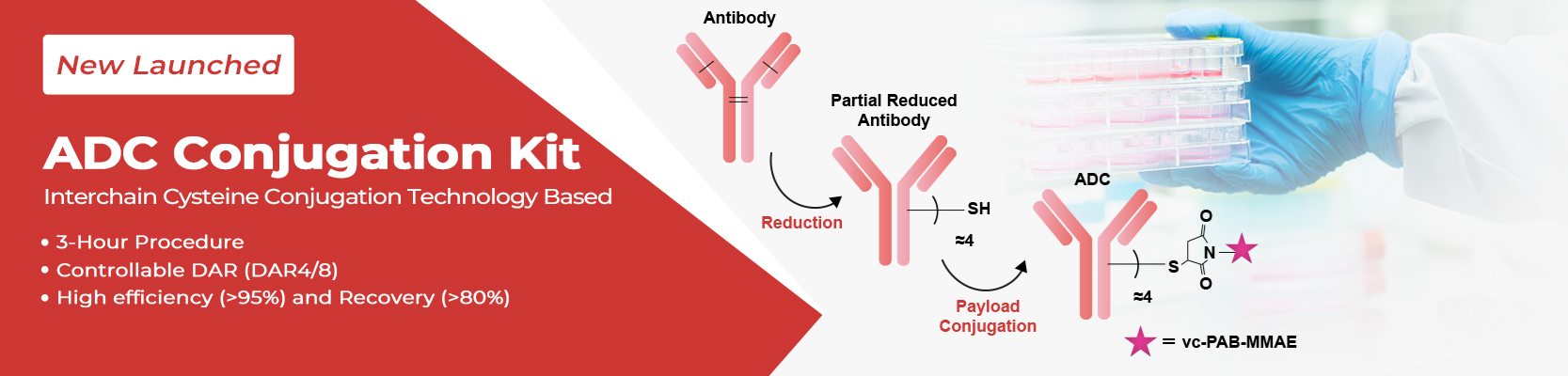 Complete ADC conjugation in just 3 hours: Speed without compromise