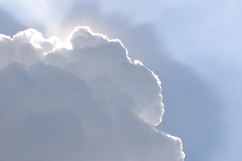 Micro-organisms in clouds could play a crucial role in the spread of disease and in the formation of rain drops, scientists have claimed.