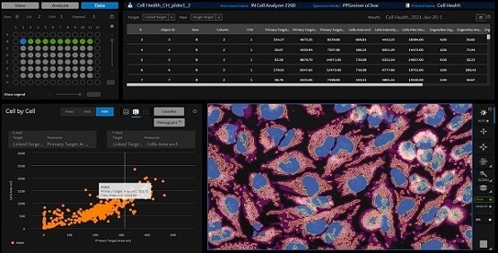 Image analysis software IN Carta