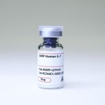 ACROBiosystem's GMP Human IL-7 Protein