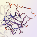 ACROBiosystem's GMP Human FGF basic Protein
