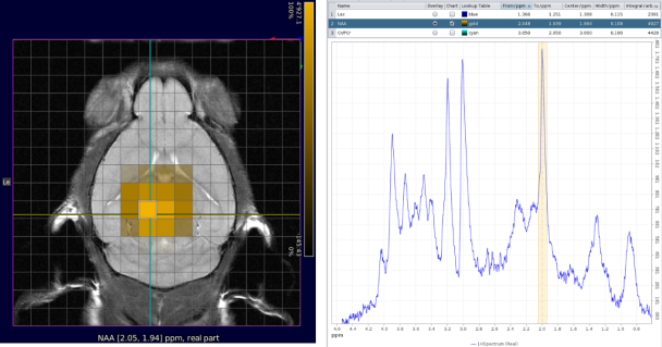 CSI with NAA frequency mapped.