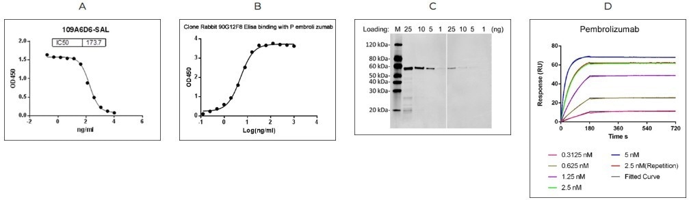 A novel rabbit MonoRab technology