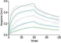Potentiated CD16 activated ADCC CAR-NK cells