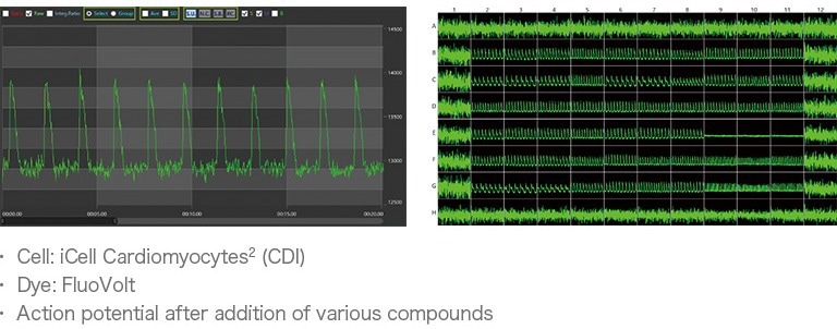 FDSS-GX Kinetic Plate Imager for HTS