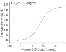 SCF/c-Kit signaling axis: Regulating cancer stemness