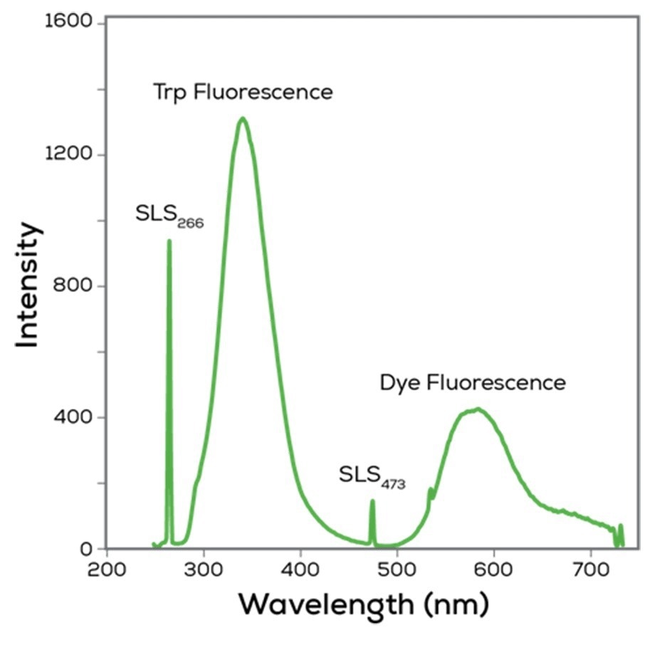 Discover Uncle—An all-in-one screening platform