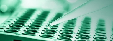 Baculovirus–insect cell expression system for protein delivery