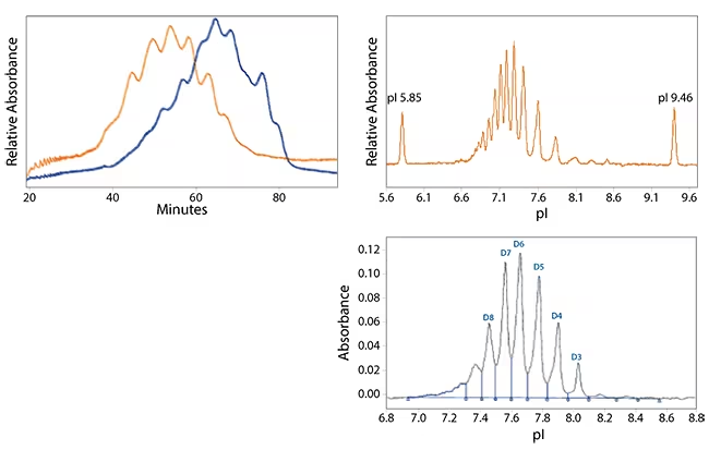 Maurice-Imaged capillary electrophoresis platform