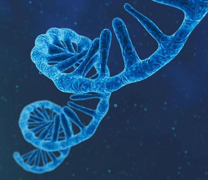 IVT Raw Materials for RNA Therapeutic Manufacturing