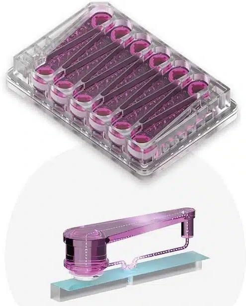 PhysioMimix® Liver-12 and -48 plates for in vitro 3D human liver tissue recreation